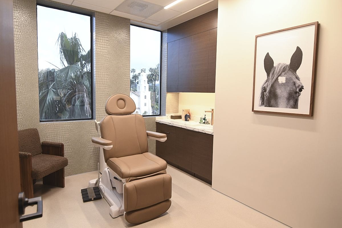 Modern treatment room with a horse portrait.