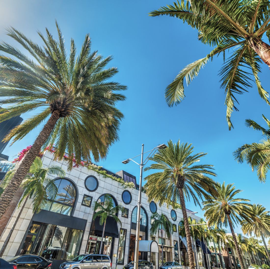 Palm trees lining a sunny street with shops.